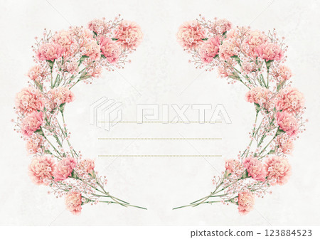 Carnation flower message card frame 123884523