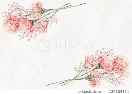 Carnation flower frame 123884524