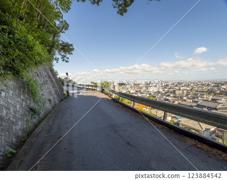 從山路俯瞰大阪的街景 123884542