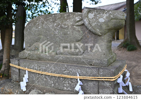 菅沼天神神社院內 深谷市牛天神 菅沼天神神社院內 深谷市牛天神 123884615