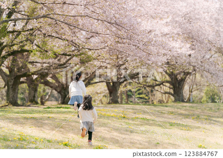 Kids playing in the cherry blossom park 123884767