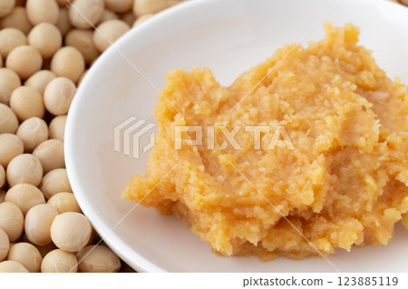 米味噌（白色）的特寫 123885119