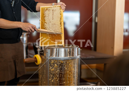 用蜂蜜刀從蜂巢中採摘蜂蜜的那一刻 123885227