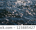 閃閃發光的海平面 123885427