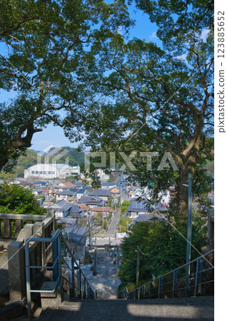 從山上的神社看到的風景 123885652