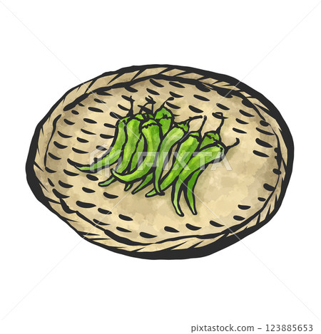手繪綠色辣椒插圖 123885653