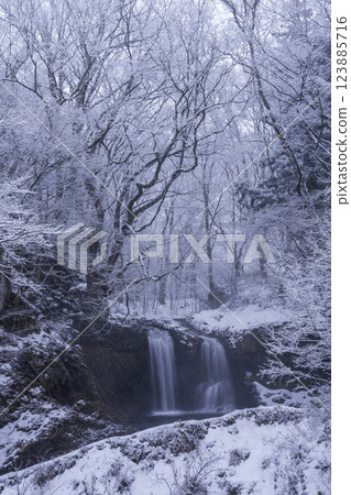 富士吉田市金山瀑布的雪景 富士吉田市金山瀑布的雪景 123885716