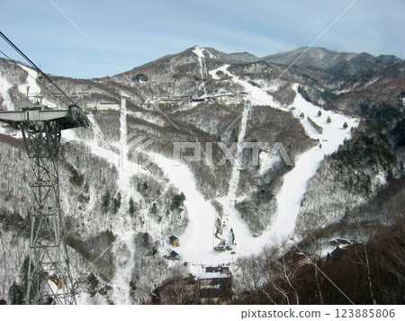 Snowy Higashi-tateyama @Shigakogen / Winter in Shiga Kogen Higashi-tateyama 123885806
