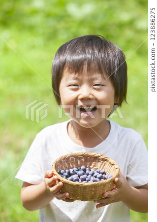 採摘藍莓的男孩 採摘藍莓的男孩 123886275