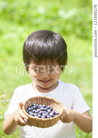 採摘藍莓的男孩 123886276