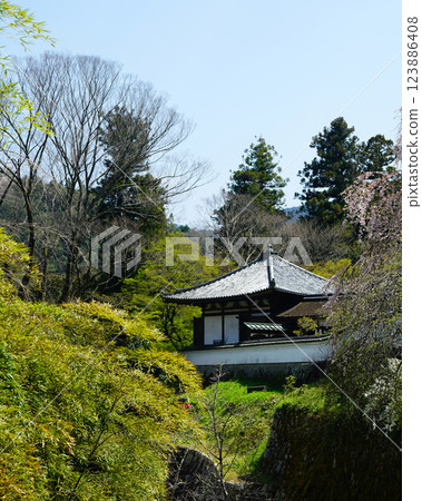 Hase-ji Temple櫻花奈良縣 123886408
