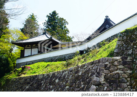 Hase-ji Temple櫻花奈良縣 123886417