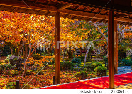 [Kyoto Scenery] Enkoji Temple - The stunning beauty of autumn leaves that you'll want to look at forever 123886424