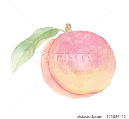 Delicious watercolor peach illustration Delicious watercolor peach illustration 123886432