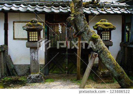 Hase-ji Temple櫻花奈良縣 123886522