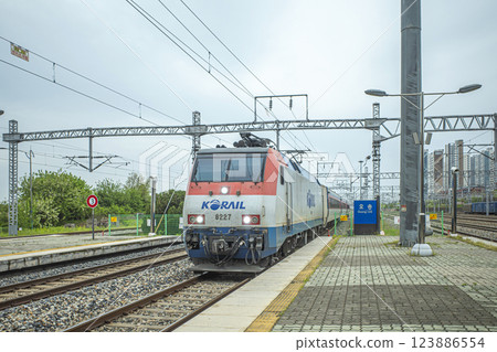 A local train arriving at the station platform A local train arriving at the station platform 123886554