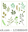 Collection of leaf element illustration images	 123886649