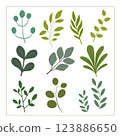 Collection of leaf element illustration images	 123886650