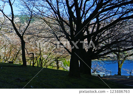 Oku-Biwako Parkway, Shiga Prefecture 123886763