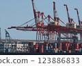 Container wharf 123886833