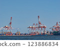 Container wharf 123886834