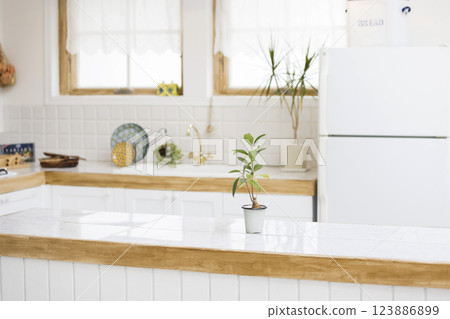 Bright kitchen kitchen image Bright kitchen kitchen image 123886899