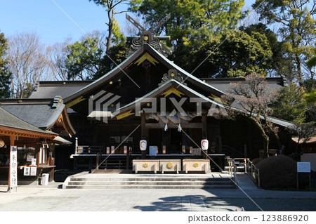 [Hadano City "Izumo Taisha Sagami Branch Shrine" worship hall] 123886920