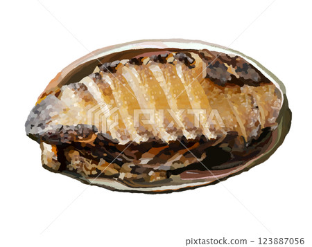 Grilled abalone (cooked) 123887056