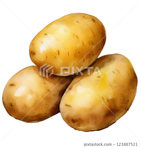 Potato illustration material (JPEG/PNG) 123887521