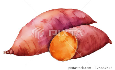 Baked sweet potato watercolor illustration (JPEG/PNG) 123887642