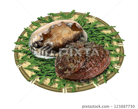 Abalone (with colander and cypress leaves) 123887730