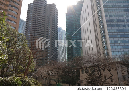 東京城市景觀，有曙暮光、摩天大樓和樹木繁茂的公園 123887804