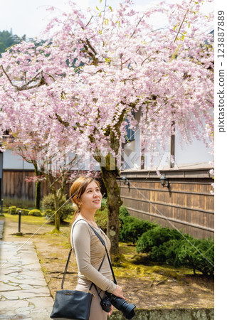 日本岐阜高山市 - 2024 年 4 月 17 日:日本岐阜高山市藝術博物館內的櫻花景觀。 日本岐阜高山市 - 2024 年 4 月 17 日:日本岐阜高山市藝術博物館內的櫻花景觀。 123887889