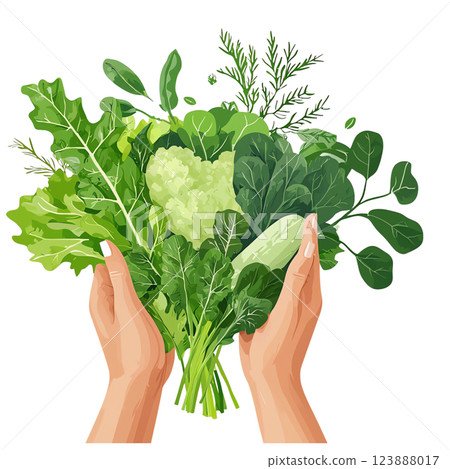 Two hands holding a variety of fresh greens. Includes different leafy vegetables such as kale, spinach, arugula, and more. 123888017