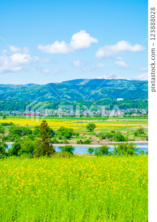 Iiyama City · Nanohana Park 123888028