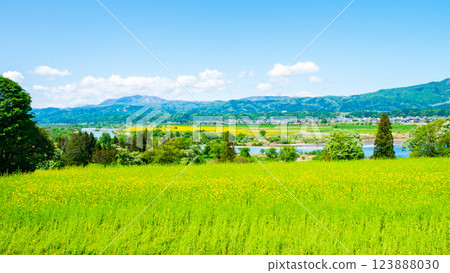 飯山市·Nanohana公園 123888030