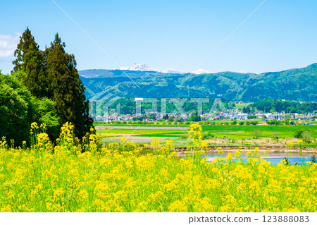 Iiyama City · Nanohana Park Iiyama City · Nanohana Park 123888083