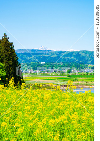 Iiyama City · Nanohana Park 123888085