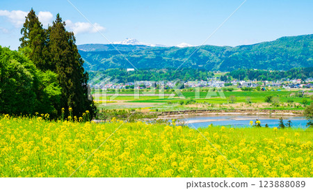 飯山市·Nanohana公園 123888089