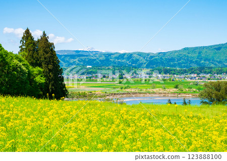 飯山市·Nanohana公園 123888100