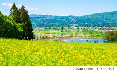 Iiyama City · Nanohana Park 123888101