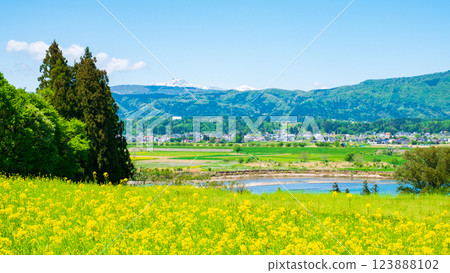 飯山市·Nanohana公園 123888102