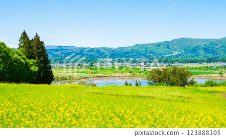 Iiyama City · Nanohana Park 123888105