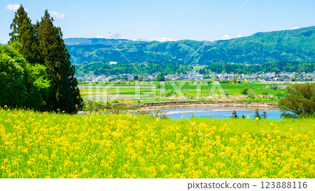 Iiyama City · Nanohana Park 123888116