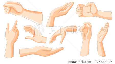 Various Hand Gestures Illustration 123888296