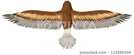 Majestic Bird in Flight Illustration Majestic Bird in Flight Illustration 123888304