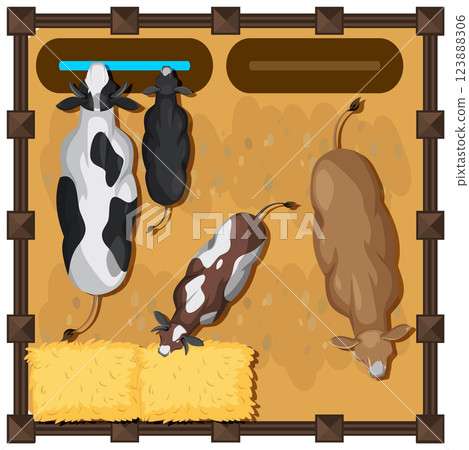 Aerial View of Cows in Barn 123888306