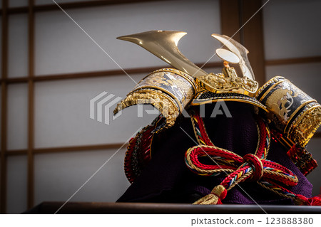 Helmet decoration Helmet decoration 123888380