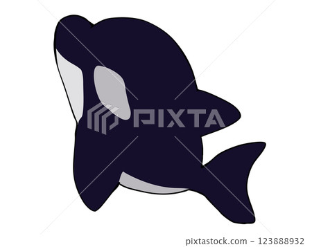 圓形虎鯨 圓形虎鯨 123888932