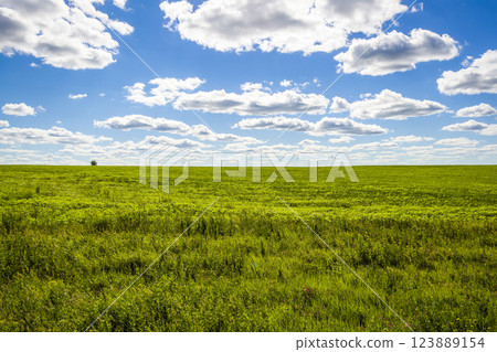 Beautiful summer landscape 123889154
